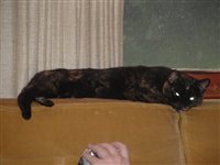 snug_couch.jpg