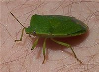 100_4412.jpg