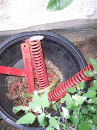 100_4432.JPG