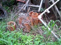100_4437.JPG