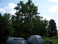 100_4441.JPG
