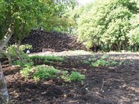 100_4455.JPG