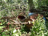 DSCN2527.JPG