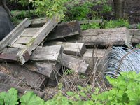 DSCN2529.JPG