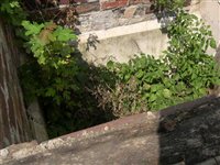 DSCN2534.JPG